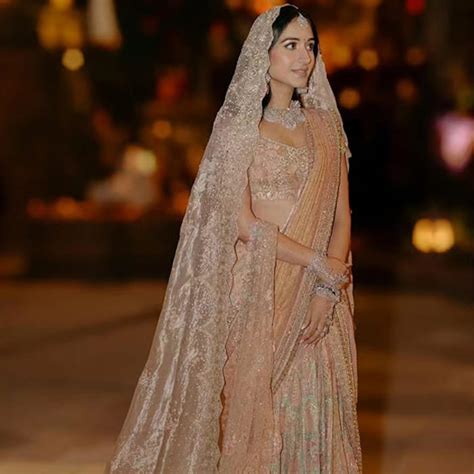 Radhika Merchants Hand Printed Rose Gold Saree Lehenga Is An Ode To