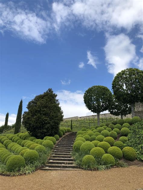 The gardens at Château Amboise. : r/pics