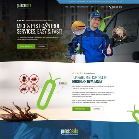 Designs Professional Economic And Safe Pest Control Landing Page Landing Page Design Contest