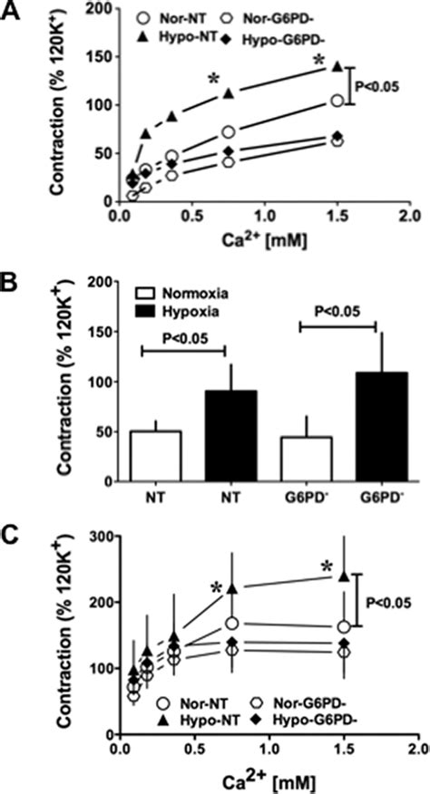 Hypoxia Induced Ca Independent And Dependent Pa Contraction Is