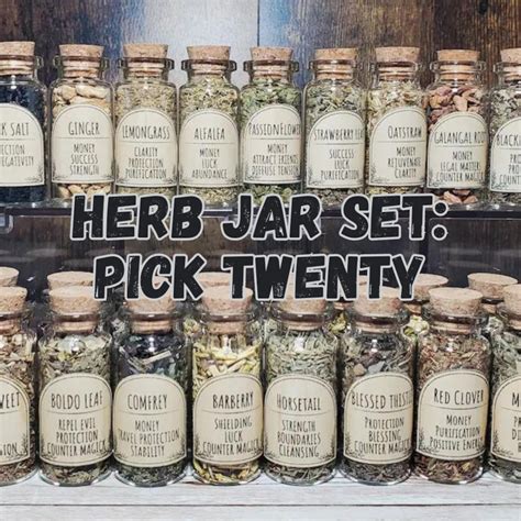 Twenty Bottled Herbs for Witchcraft and Spell Work Apothecary Labeled Magical Herbs for Candle ...