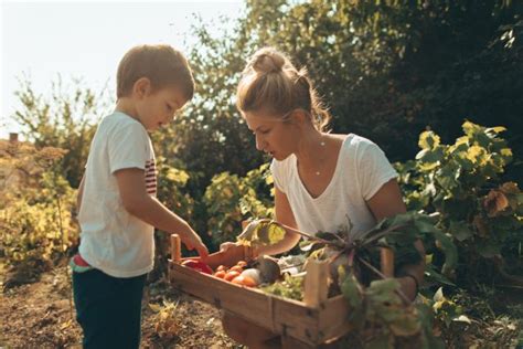 Aliments Qui Peuvent Tre Toxiques Vifa Magazine