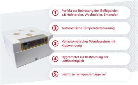 Wiltec Vollautomatische Brutmaschine 48 Eier Brutapparat Flächenbrüter