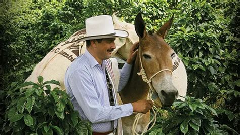 Muri El Hombre Que Fue La Cara Del Caf De Colombia