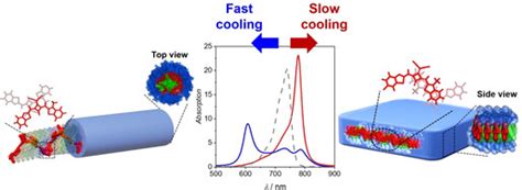 Polymorphism In Squaraine Dye Aggregates By SelfAssembly Pathway