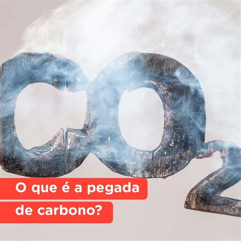 Pegada De Carbono O Que E Como Reduzir A Sua Yvy