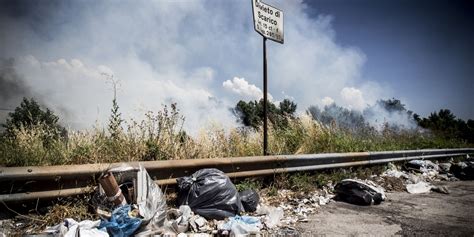 Virgilio Roberto Saviano E L Eco Del Passato Lacooltura