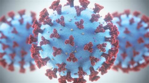 Evolución Del Coronavirus Qué Es La Mutagénesis Letal Y En Qué Medida