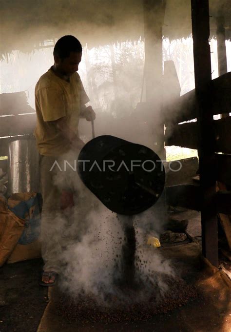 PENGOLAHAN KOPI TRADISIONAL ANTARA Foto