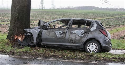 Autofahrer Stirbt Nach Zusammensto Mit Baum Gmx