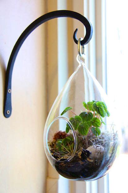 Make Your Own Beautiful Terrarium Inspiring Ideas Beautiful