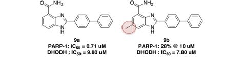Structure And Biochemical Activity Of Compounds 9a And 9b Download Scientific Diagram
