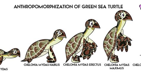 Green Anthro Sea Turtle Evolution Thisiswyのイラスト Pixiv