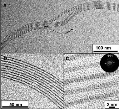 Tem Images At Di Ff Erent Magni Fi Cations Of Au Nws Prepared By Oam