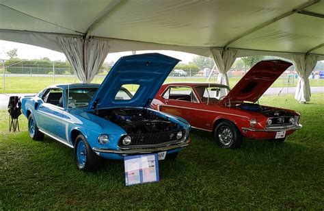 Cobra Jet Mustangs Galore at 50th Anniversary CJ Reunion