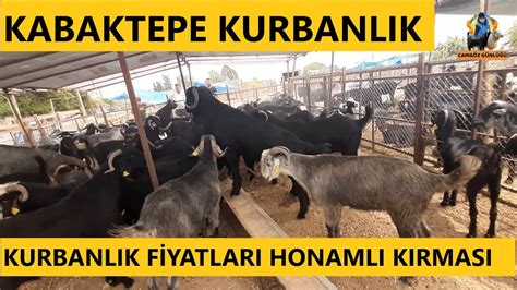 Adana Kabaktepe Kurban Pazar Kurbanl K Fiyatlar Kurban Pazar