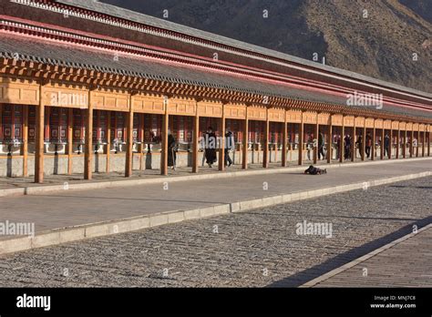 Tibetan Pilgrims Spinning Prayer Wheels And Prostrating Labrang