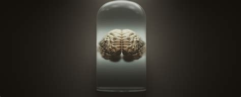 A Danish University Has The Worlds Largest Collection Of Human Brains