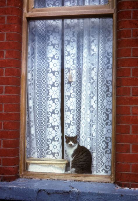 Lace Curtain Irish Catholic | Home Design Ideas