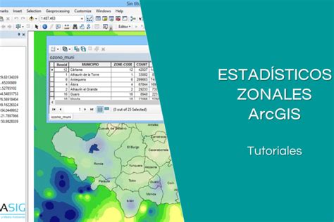 Topolog A En Arcgis Tutoriales Arcgis