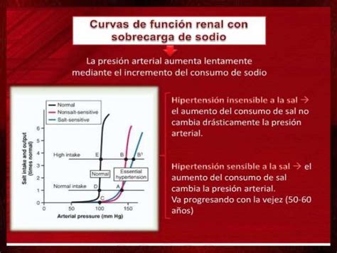 Control Presión Arterial A Largo Plazo Capítulo 19 Guyton Dr Joh