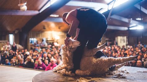 Agrodome Rotorua Nz