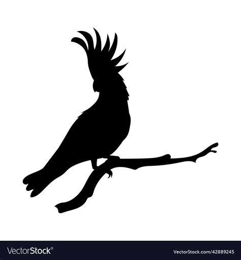 Cockatoo Silhouette