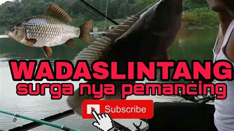 Mancing Ikan Nila Di Sarangnya Youtube