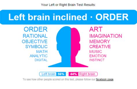 The Right Brain Left Brain Myth And Drawing