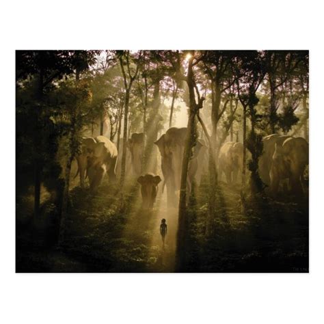 The Jungle Book Elephants Postcard | Zazzle.com