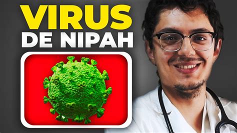 Nuevo Virus En La India Virus De Nipah Letalidad S Ntomas Y