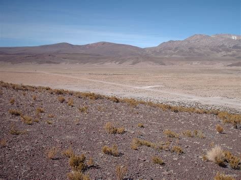 Ecosistema Terrestre Matorral Bajo Tropical Andino De Parastrephia