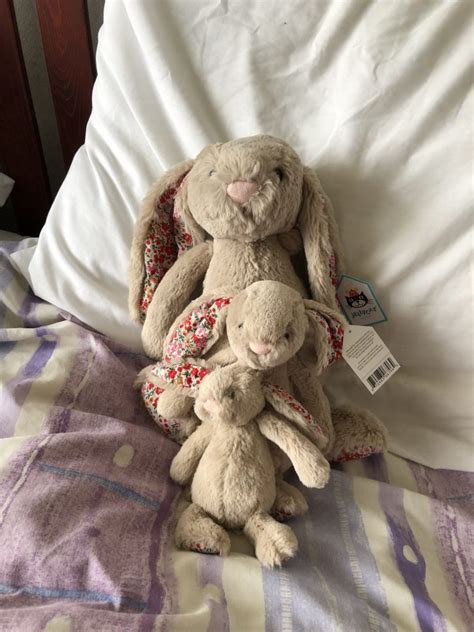 beige blossoms bashful bunnies