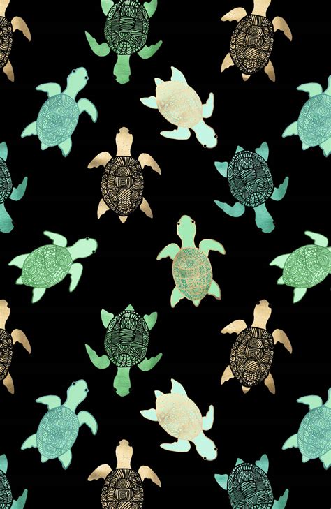 Top Cute Turtle Wallpaper Full Hd K Free To Use