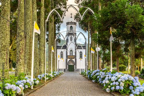 Sao Nicolau Church With Tree Alley And Hydrangea Flower Bed In Sete