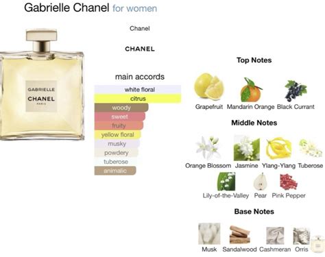 Top 74 Imagen Chanel Gabrielle Notes Abzlocal Mx