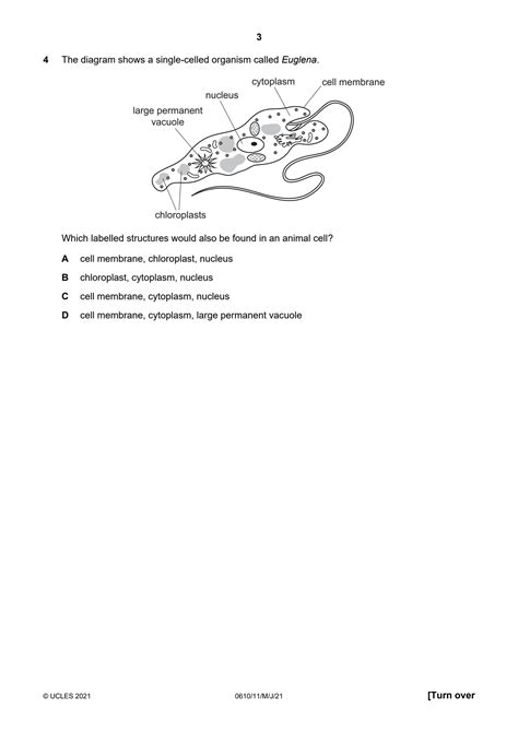 Solution Igcse Biology Past Paper Studypool