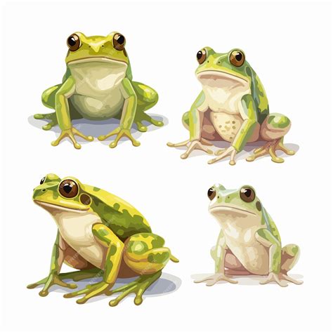 Premium Vector | Delightful frog illustrations in various positions ...