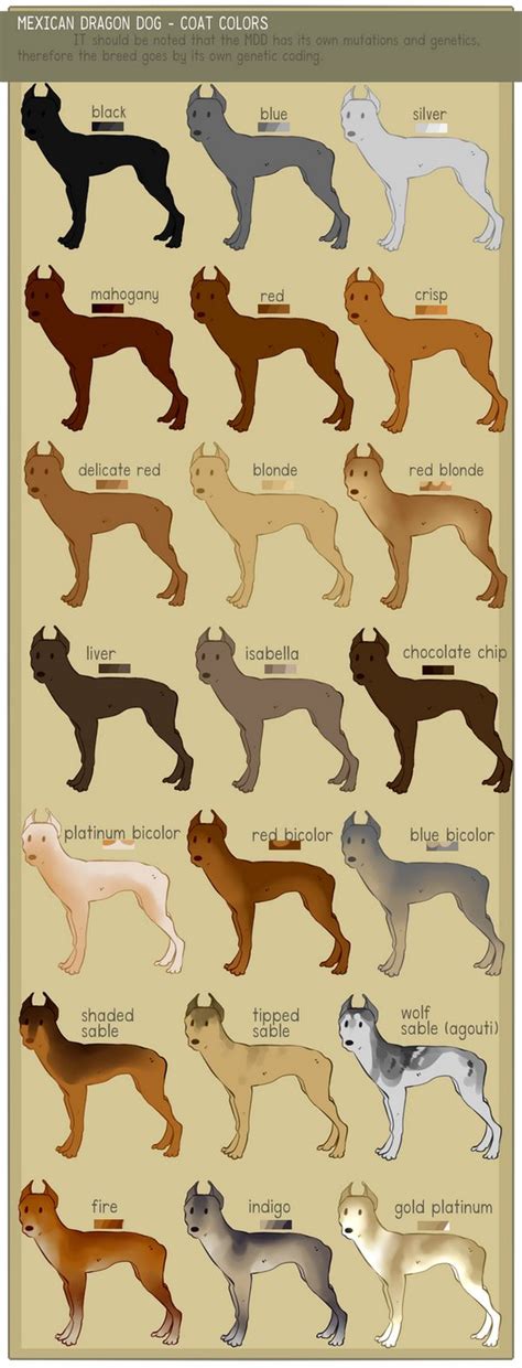 Dog Muscle Anatomy by TheDragonofDoom on DeviantArt | Dog anatomy, Muscle anatomy, Anatomy