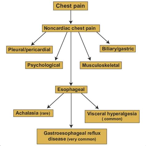 (PDF) Noncardiac chest pain: Current treatment