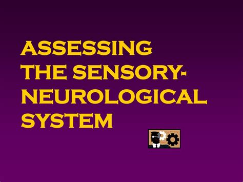 Assessing The Sensory Neurological System Ppt Download