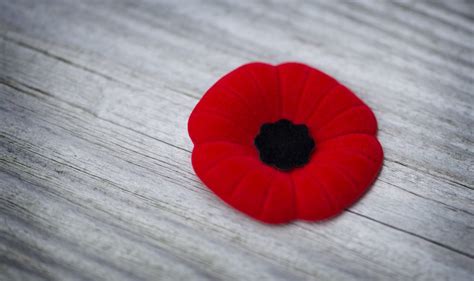 Royal Canadian Legion Ttc Kick Off Annual Poppy Campaign