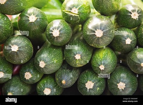 Displayed Vegetable Zucchini Stock Photo Alamy