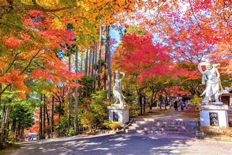 10 Recommended Shrines And Temples In Fukuoka Highlights Visit