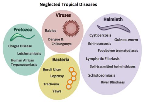 What Are Neglected Tropical Diseases Ntd Civilsdaily