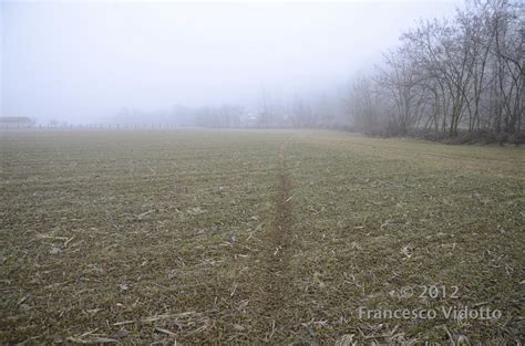 Italian Audit 016 Valle Tiglione Diagnosis Activity Francesco