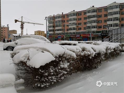 内蒙古呼伦贝尔遭遇大暴雪 最大积雪深度达24厘米 天气图集 中国天气网