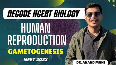 Human Reproduction Gametogenesis Decode Ncert Biology Dr Anand Mani Neet 2023 Youtube