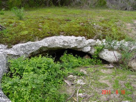 Sinkhole types in Uley South (a) Large active solution sinkhole showing ...