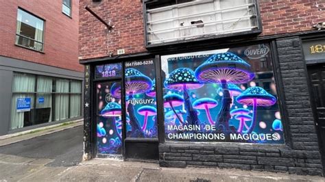 A Magic Mushroom Dispensary Is Opening In Montreal The Only Problem